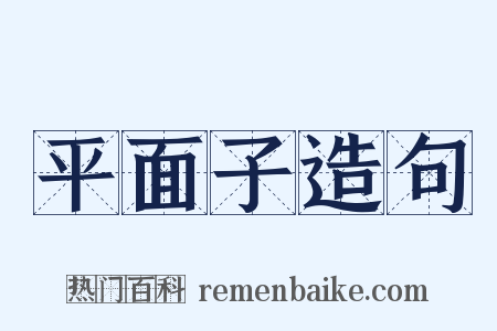 平面子造句是什么意思的图片